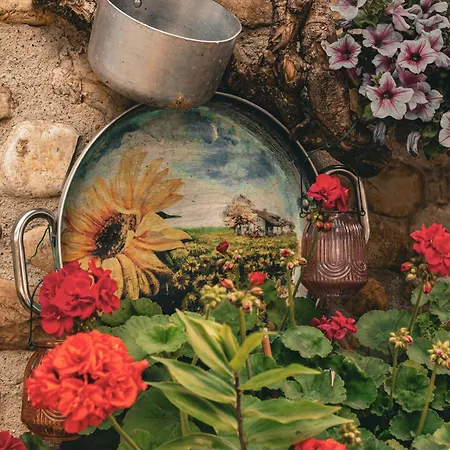 Vacanze Manetti Alloggio per agriturismo