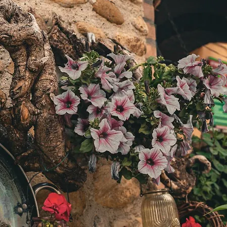 Alloggio per agriturismo Vacanze Manetti